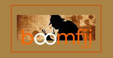 boomfiicom--due-diligence--clients